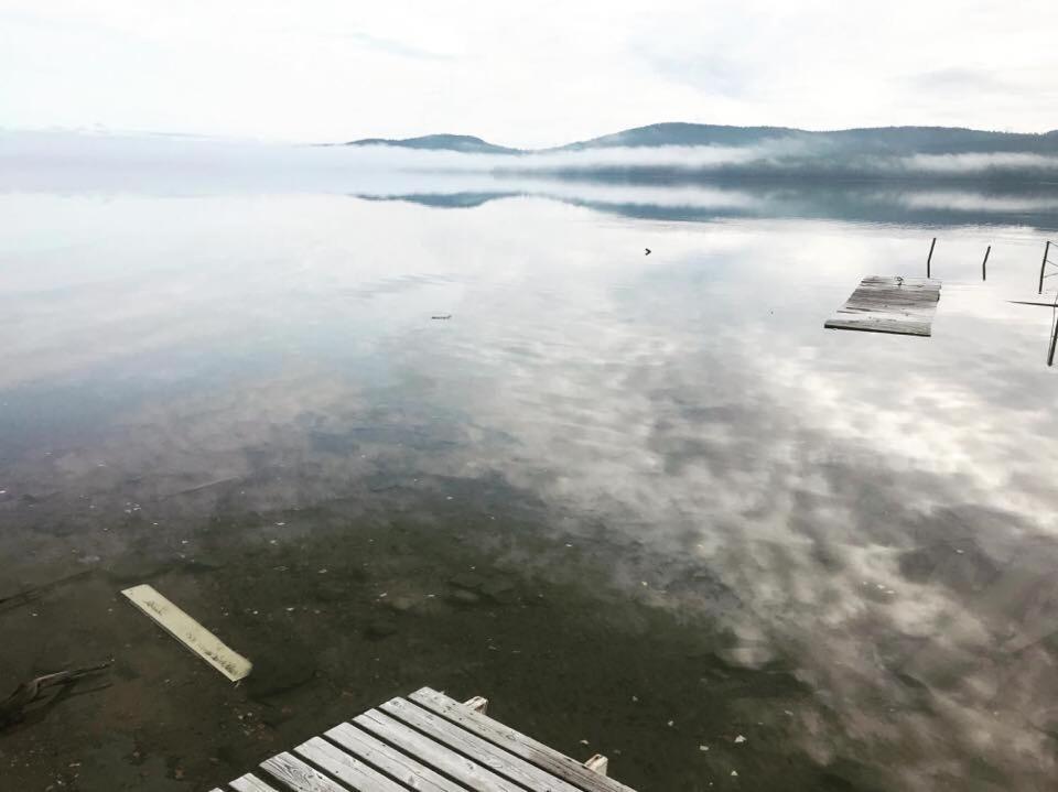 Sagverket Hoega Kusten Rö المظهر الخارجي الصورة